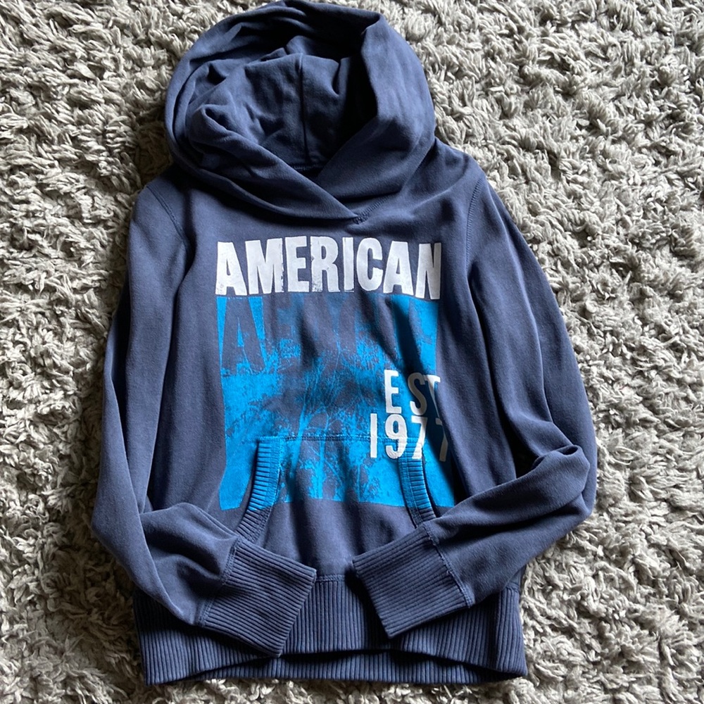 American Eagle Hooded Sweatshirt